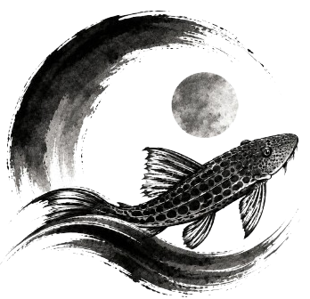 PLECO Software